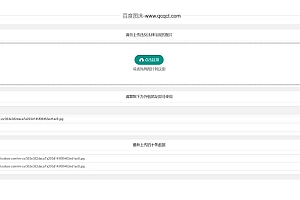【全网首发】亲测可用百度图床源码
