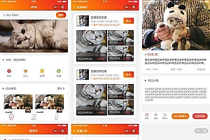 【小程序模板】功能模块+橙色电子商务商店小程序模板+商人购物平台应用小程序页面模板