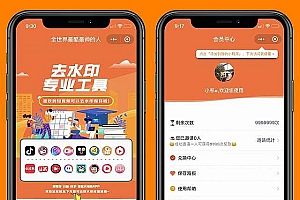 【短视频去水印小程序v1.3.7】功能模块+抖音快手短视频去水印+全网短视频解析+前端+全开源免授权版
