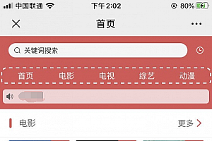 【最新版VIP视频电影建站cms】功能模块+自建视频网站+接口文档+PC插件