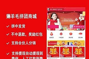 薅羊毛拼团商城小程序 v2.6.5+前端