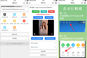 A1429自带多平台解析接口短视频去水印图集水印小程序源码下载