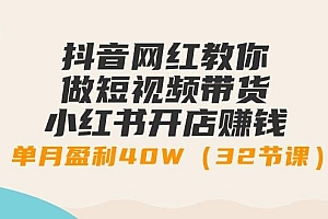 抖音网红教你做短视频带货+小红书开店赚钱,单月盈利40W(32节课)