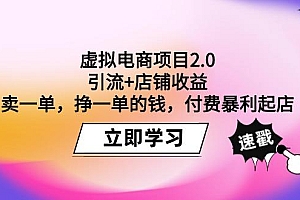 (9645期)虚拟电商项目2.0:引流+店铺收益  卖一单,挣一单的钱,付费暴利起店