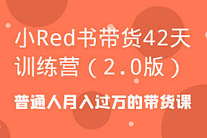 小Red书带货42天训练营(2.0版)普通人月入过万的带货课