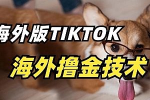抖音海外版tiktok撸金技术,这个风口行业,赚钱真的不难【揭秘】