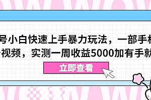 视频号小白快速上手暴力玩法,一部手机,一条视频,实测一周收益5000加有手就行【揭秘】