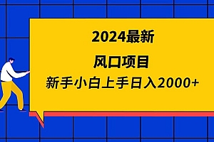 (9483期)2024最新风口项目 新手小白日入2000+