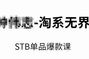 淘系无界STB单品爆款课(2024),付费带动免费的核心逻辑,万相台无界关键词推广/精准人群的核心