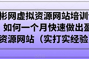 小彬网虚拟资源网站培训课程,如何一个月快速做出盈利的资源网站(实打实经验)