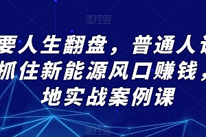 想要人生翻盘,普通人该如何抓住新能源风口赚钱,落地实战案例课
