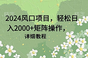 (9652期)2024风口项目,轻松日入2000+矩阵操作,详细教程