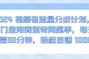 2024视频号流量分成计划,冷门监海赛道奇闻趣事,每天只需30分钟,轻松目赚 1000+【揭秘】