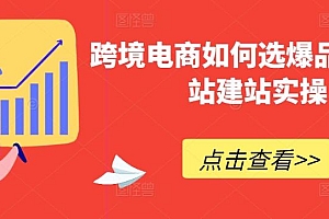 跨境电商如何选爆品,独立站建站实操