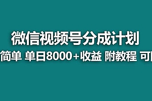 【蓝海项目】视频号分成计划最新玩法,单天收益8000+,附玩法教程,24年...