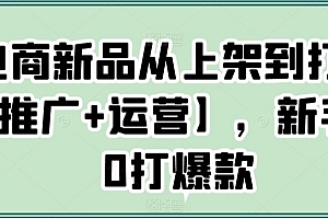 电商新品从上架到打爆【推广+运营】,新手从0打爆款