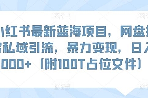 小红书最新蓝海项目,网盘扩容私域引流,暴力变现,日入1000+(附100T占位文件)【揭秘】