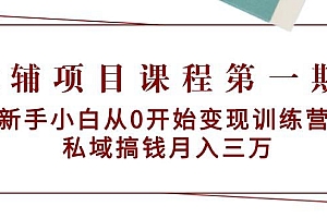 教辅项目课程第一期:新手小白从0开始变现训练营  私域搞钱月入三万