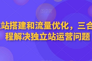 独立站搭建和流量优化,三合一课程解决独立站运营问题