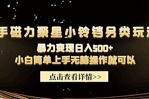 (9689期)快手磁力聚星小铃铛另类玩法,暴力变现日入500+小白简单上手无脑操作就可以