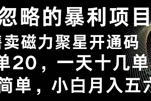被忽略的暴利项目!售卖磁力聚星开通码,一单20,一天十几单,轻松月入五六千