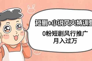 小说+短剧风火特训营,0粉短剧小说风行推广,实现月入过万