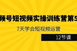 视频号短视频实操训练营第5期:7天学会短视频运营(12节课)