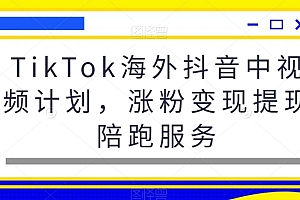 TikTok海外抖音中视频计划,涨粉变现提现陪跑服务