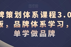 品牌策划体系课程3.0升级版,品牌体系学习,简单学做品牌