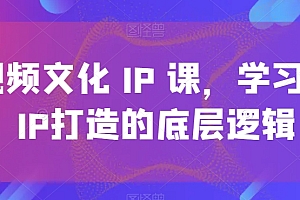 短视频文化IP课,学习文化IP打造的底层逻辑