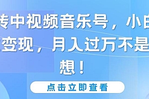 玩转中视频音乐号,小白副业变现,月入过万不是幻想【揭秘】