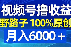 视频号野路子撸收益,100%原创,条条爆款,月入6000+【揭秘】