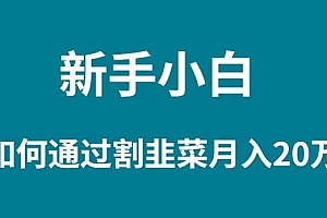 (9308期)新手小白如何通过割韭菜月入 20W
