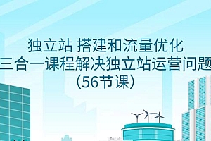 独立站 搭建和流量优化,三合一课程解决独立站运营问题(56节课)