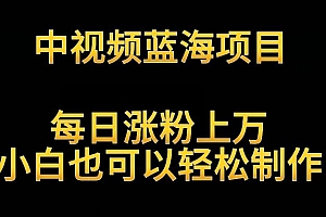 中视频蓝海项目,解读英雄人物生平,每日涨粉上万,小白也可以轻松制作,月入过万不是梦【揭秘】