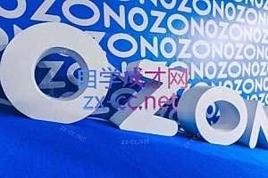 森哥·出海俄罗斯电商实操(2024)