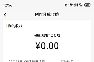 视频号掘金,小白轻松日入800+(附100%过原创技巧)