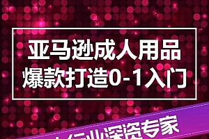 亚马逊成人用品爆款打造0-1入门,系统化讲解亚马逊成人用品爆款打造的流程