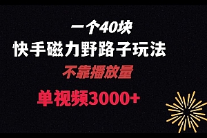 一个40块,快手联合美团磁力新玩法,无视机制野路子玩法,单视频收益4位数【揭秘】