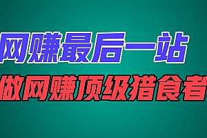 网赚最后一站,卖项目,做网赚顶级猎食者