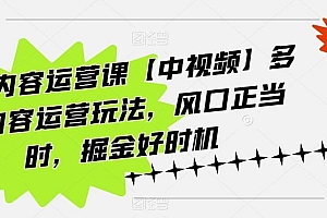 海外内容运营课【中视频】多种内容运营玩法,风口正当时,掘金好时机