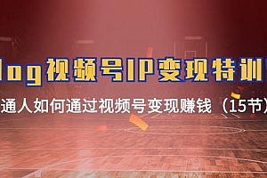 Vlog 视频号IP变现特训营,普通人如何通过视频号变现赚钱(15节