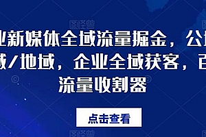 企业新媒体全域流量掘金,公域/私域/地域,企业全域获客,百亿流量收割器
