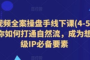 短视频全案操盘手线下课(4-5月)教你如何打通自然流,成为想象级IP必备要素