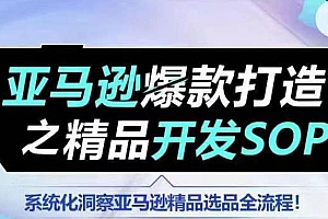 【训练营】亚马逊爆款打造之精品开发SOP,系统化洞察亚马逊精品选品全流程