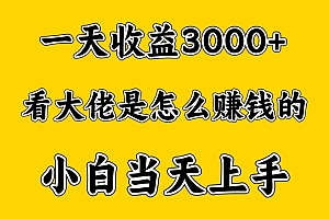 一天赚3000多,大佬是这样赚到钱的,小白当天上手,穷人翻身项目