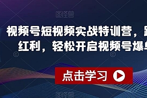 视频号短视频实战特训营,踩准风口红利,轻松开启视频号爆单之路