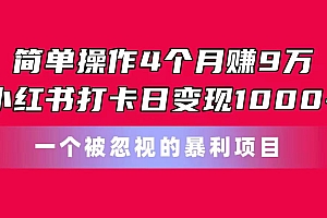 简单操作4个月赚9万!小红书打卡日变现1000+!一个被忽视的暴力项目