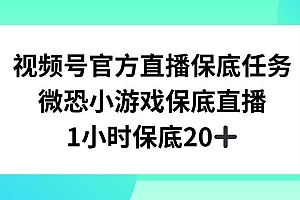 视频号直播任务,微恐小游戏,1小时20+【揭秘】