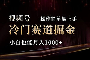 2024视频号冷门赛道掘金,操作简单轻松上手,小白也能月入1000+